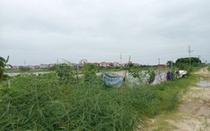 Bắc Ninh có thêm khu nhà ở công nhân hơn 2.236 tỷ đồng