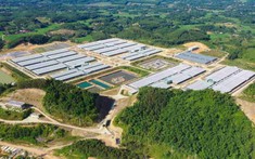 Hà Nội nghiên cứu tổ hợp chăn nuôi công nghệ cao 220 ha tại khu vực phía Tây thành phố