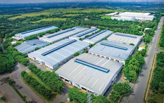 Một công ty đứng trước cơ hội lãi lớn nhờ chuyển đổi đất cao su sang khu công nghiệp