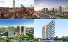 Cập nhật tiến độ gần 3.000 căn nhà ở xã hội Green Nestera, The Ori Phương Mai và Bee Home Mỹ Hạnh