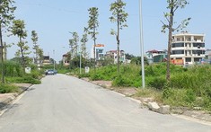 Hà Nội chuẩn bị đấu giá khu đất hơn 2 ha với giá khởi điểm gần 1.100 tỷ đồng