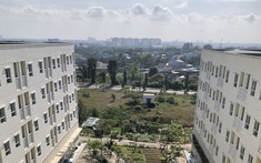 Bất động sản 24h: Đồng Nai tăng tốc hoàn thành mục tiêu 8.000 căn nhà ở xã hội