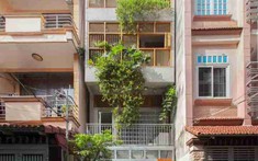 Thiết kế nhà ống hẹp tại TP.HCM: Giải pháp liên hoàn phòng kết nối phòng