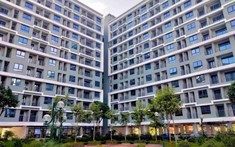 Nên vay 15 năm hay 25 năm khi mua nhà ở xã hội?
