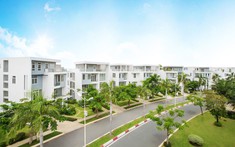 Doanh nghiệp gắn với dự án Villa Park và MIK Group bị phạt vì vi phạm trái phiếu