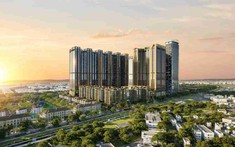 Sunshine Group chốt kế hoạch trả cổ tức 17% bằng cổ phiếu