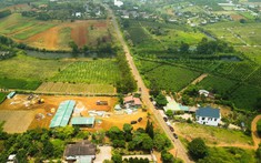 Hai dự án cao tốc Tân Phú - Bảo Lộc và Bảo Lộc - Liên Khương đang triển khai đến đâu?