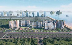 Khởi công dự án nhà ở xã hội hơn 1.000 căn tại Vân Đồn
