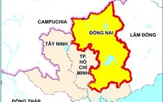 Toàn cảnh hạ tầng Đông Nam Bộ tháng 6: Cầu Cát Lái, Long Hưng điều chỉnh; Đồng Nai khởi công loạt tuyến đường mới