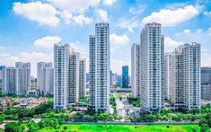 Nhóm cổ phiếu liên quan Geleximco đồng loạt tăng giá mạnh