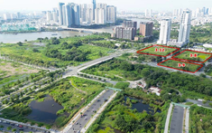 TP.HCM thúc tiến độ đấu giá các khu đất trong năm 2026