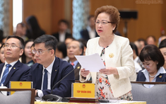 Chủ tịch BRG đề xuất thí điểm cơ chế đặc thù với tổ hợp thương mại, du lịch và vui chơi giải trí quy mô lớn
