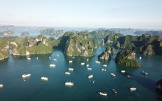 Trung ương thảo luận về đề án thành lập thành phố Quảng Ninh, Bắc Ninh