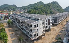 Chủ đầu tư Cát Bà Amatina Hải Phòng lỗ hơn 37 tỷ đồng trong quý 2