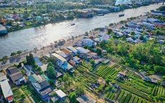 Hướng dẫn chi tiết hồ sơ, chi phí, thủ tục tách thửa đất tại Đồng Tháp mới nhất
