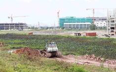Bắc Ninh điều chỉnh dự án khu dân cư 13 ha, đưa ra thị trường 402 lô đất liền kề