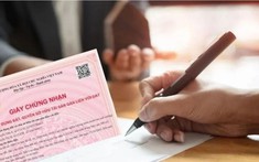Làm sổ đỏ lần đầu tại Cần Thơ: Cần chuẩn bị những giấy tờ gì?