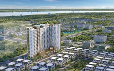 Đông Nam Oasis City: Dự án Khu đô thị tại Phú Thọ