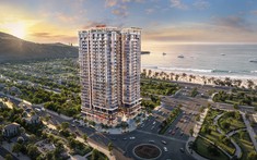 The Camellia Son Tra - Da Nang trong làn sóng lựa chọn Đà Nẵng để an cư