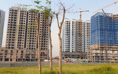 Quảng Ninh yêu cầu chủ đầu tư chủ động tiết giảm chi phí, hạ giá bán nhà ở xã hội