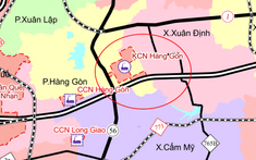 Nhơn Trạch có quỹ đất 358ha chuẩn bị đấu giá, hơn 2.930 tỷ dành cho giải phóng mặt bằng