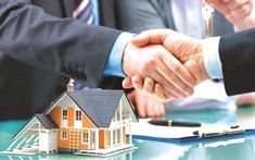 Không sử dụng hợp đồng mẫu trong kinh doanh bất động sản, chủ đầu tư có thể bị phạt tới 260 triệu đồng