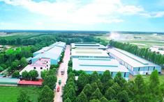 Khởi công nhà máy gần 2.800 tỷ đồng tại Cần Thơ