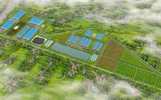 Khởi công tổ hợp nhà máy gần 1.300 tỷ đồng tại Hà Tĩnh