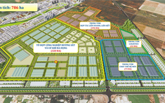 TP.HCM cho Thadico thuê 701 ha đất làm khu công nghiệp cơ khí 75.000 tỷ, 32.200 việc làm