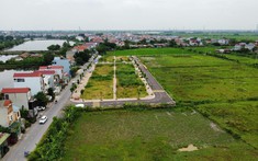 Hà Nội đấu giá 101 thửa đất, giá khởi điểm từ 6 triệu đồng/m2