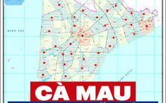 Cà Mau chuẩn bị làm hơn 4.000 tuyến đường nông thôn, hàng nghìn cây cầu