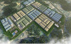 Cụm công nghiệp Ấm Hạ Phú Thọ