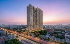 IVY Central: Dự án căn hộ tại TP.HCM