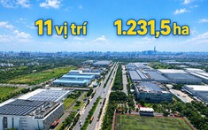 11 khu công nghệ số hơn 1.200 ha tại TP.HCM nằm ở đâu, khu nào có quy mô lớn nhất?