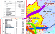 Thu hồi đất tại Đồng Nai: Lúa được bồi thường hơn 37 triệu đồng/ha, sầu riêng gần 12 triệu đồng/cây