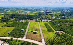 Bất động sản 24h: Lâm Đồng rà soát điều chỉnh bảng giá đất: 78 tuyến đường dự kiến tăng giá, 8 tuyến giảm