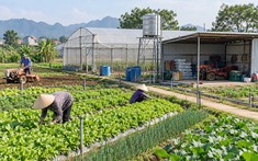 Cao Bằng quy định diện tích xây công trình phục vụ sản xuất trên đất nông nghiệp