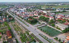 Hà Nội sắp đấu giá 128 thửa đất, giá khởi điểm từ 3,5 triệu đồng/m2