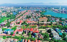 Hơn 56 ha rừng ở Phú Thọ được chuyển đổi cho hai dự án
