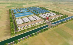 Cụm công nghiệp Hồng Dương Hà Nội