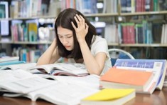 Không giỏi ngoại ngữ vẫn học được tiếng Nhật/Trung nhờ đúng lộ trình