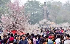 Lễ hội hoa Anh đào Nhật Bản - Hà Nội 2019