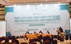 Diễn đàn Thúc đẩy sản xuất gắn với tiêu thụ nông sản Việt Nam 2019