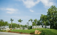 “RESORT” BÒ SỮA VINAMILK TÂY NINH - ngôi nhà lý tưởng cho những cô bò hạnh phúc