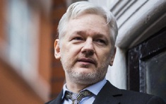 Vì sao Ecuador “ruồng bỏ” Julian Assange sau 7 năm “che chở”?