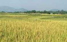 Văn Chấn: Những tín hiệu vui khi đưa cán bộ huyện về cơ sở