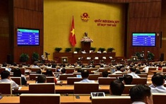 Năm 2020: Quốc hội giám sát về phòng chống xâm hại trẻ em