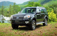 Lỗi túi khí, gần 31.000 chiếc Ford Ranger và Ford Everest bị triệu hồi tại Việt Nam