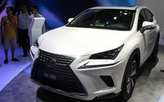 Lexus NX: Chi tiết giá xe Lexus NX tháng 07/2019 mới nhất
