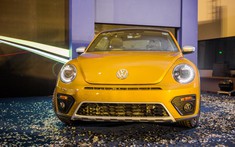 Volkswagen Beetle: Giá xe Beetle tháng 07/2019 mới nhất hôm nay